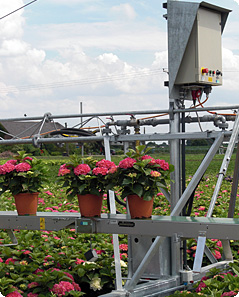 Freilandgießwagen mit Transportband Freilandgießwagen mit Transportband