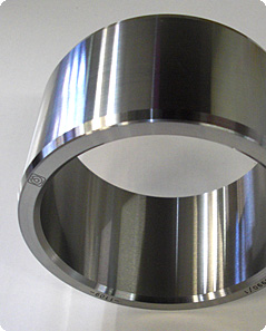 Wälzlager (Innenring) Wälzlager (Innenring)